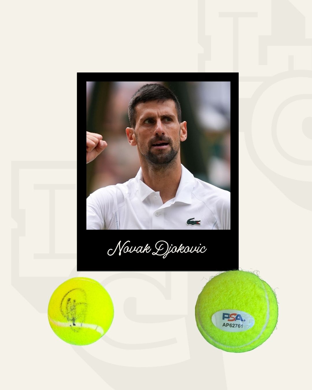 Pelota firmada Novak Djokovic