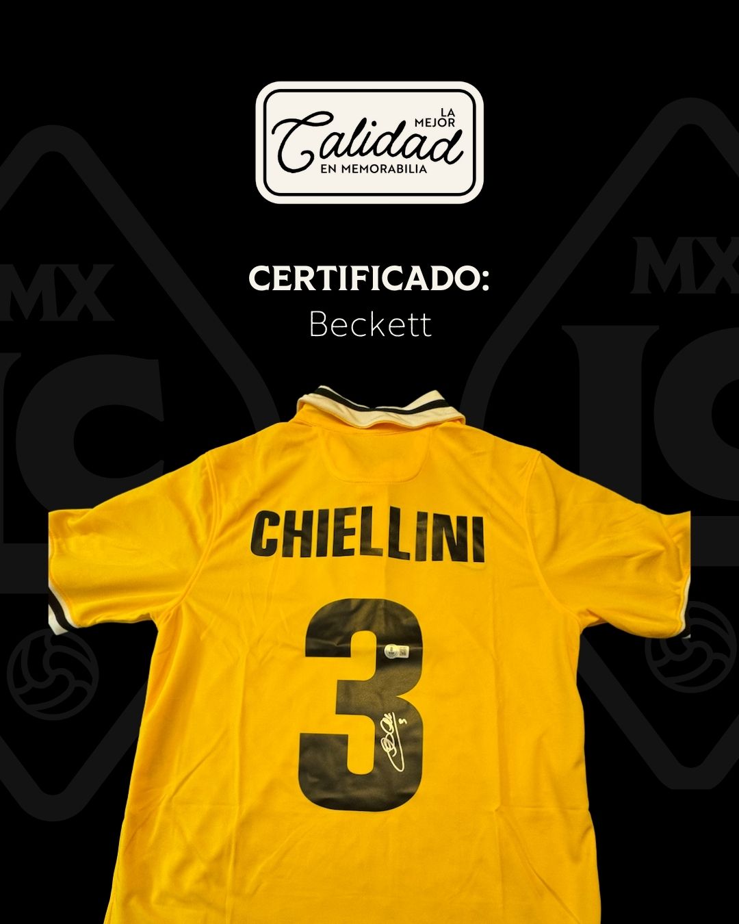Jersey firmado Giorgio Chiellini Juventus 2013 - 2014