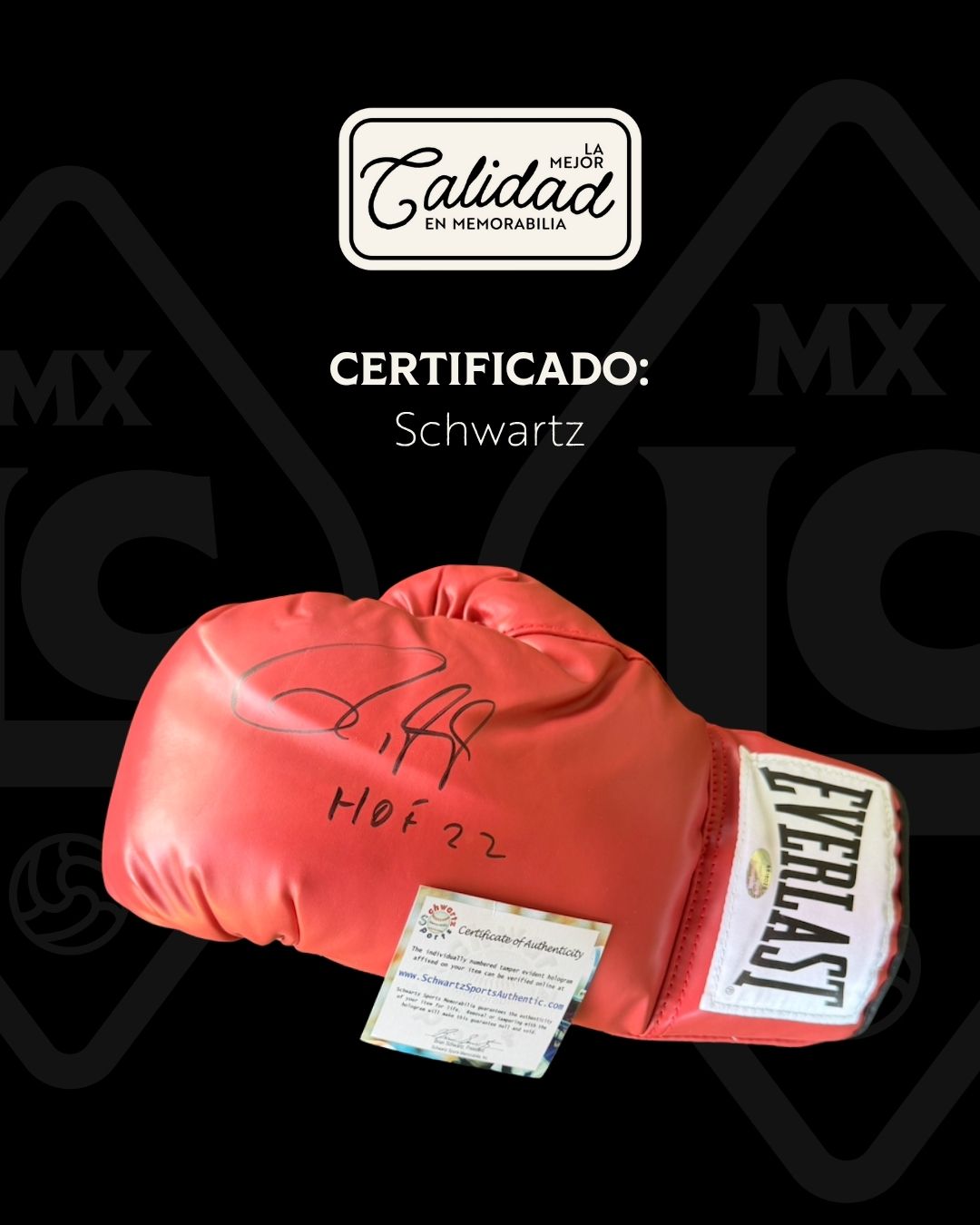 Guante firmado Roy Jones Jr.