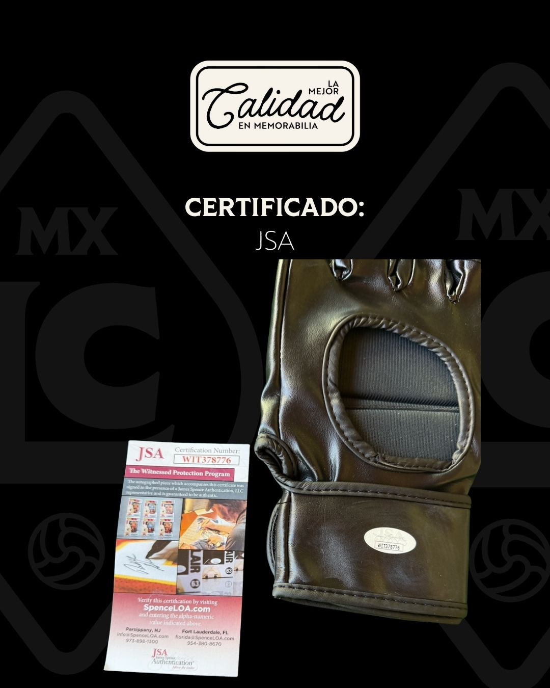 Guante firmado Jiri Prochazka