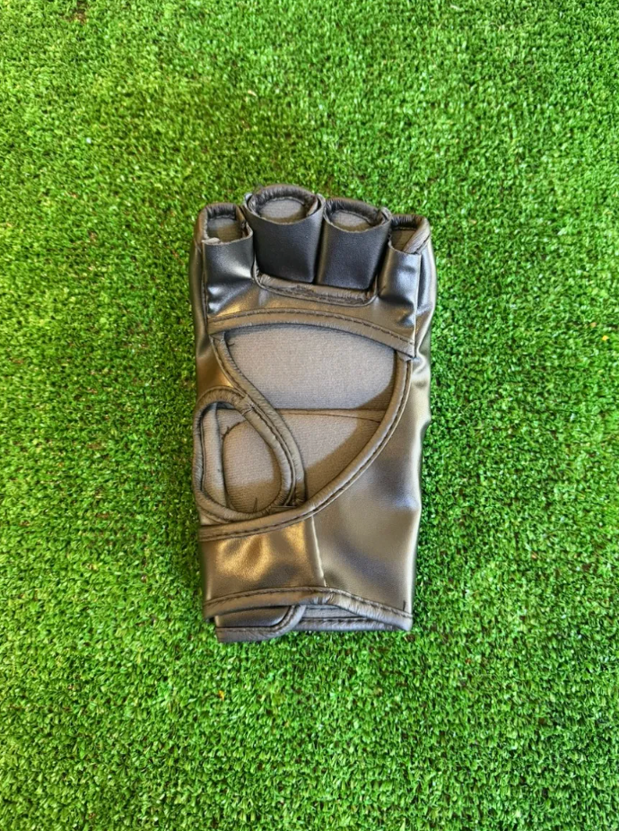 Anderson Silva — UFC
