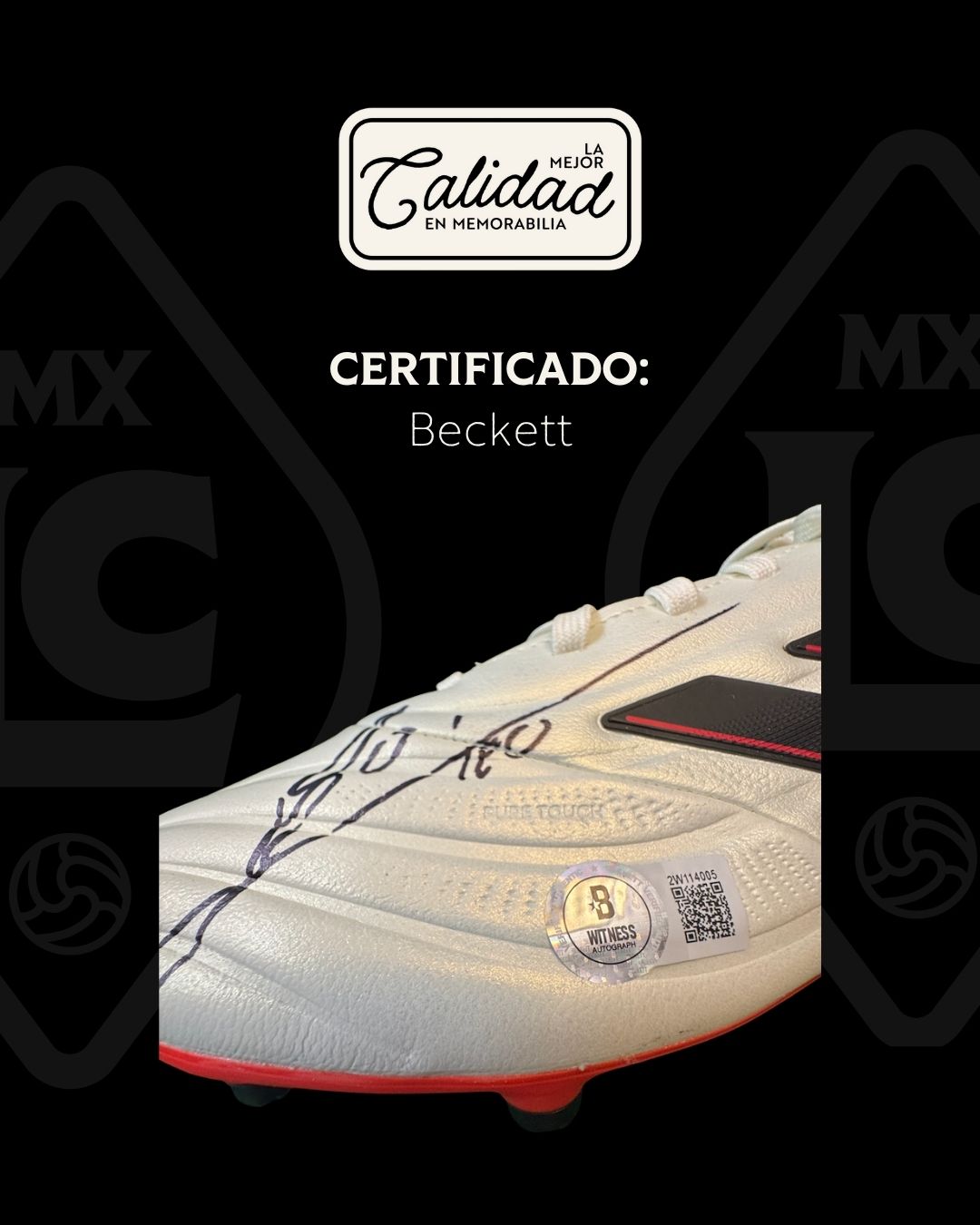 Zapato firmado Lionel Messi Adidas