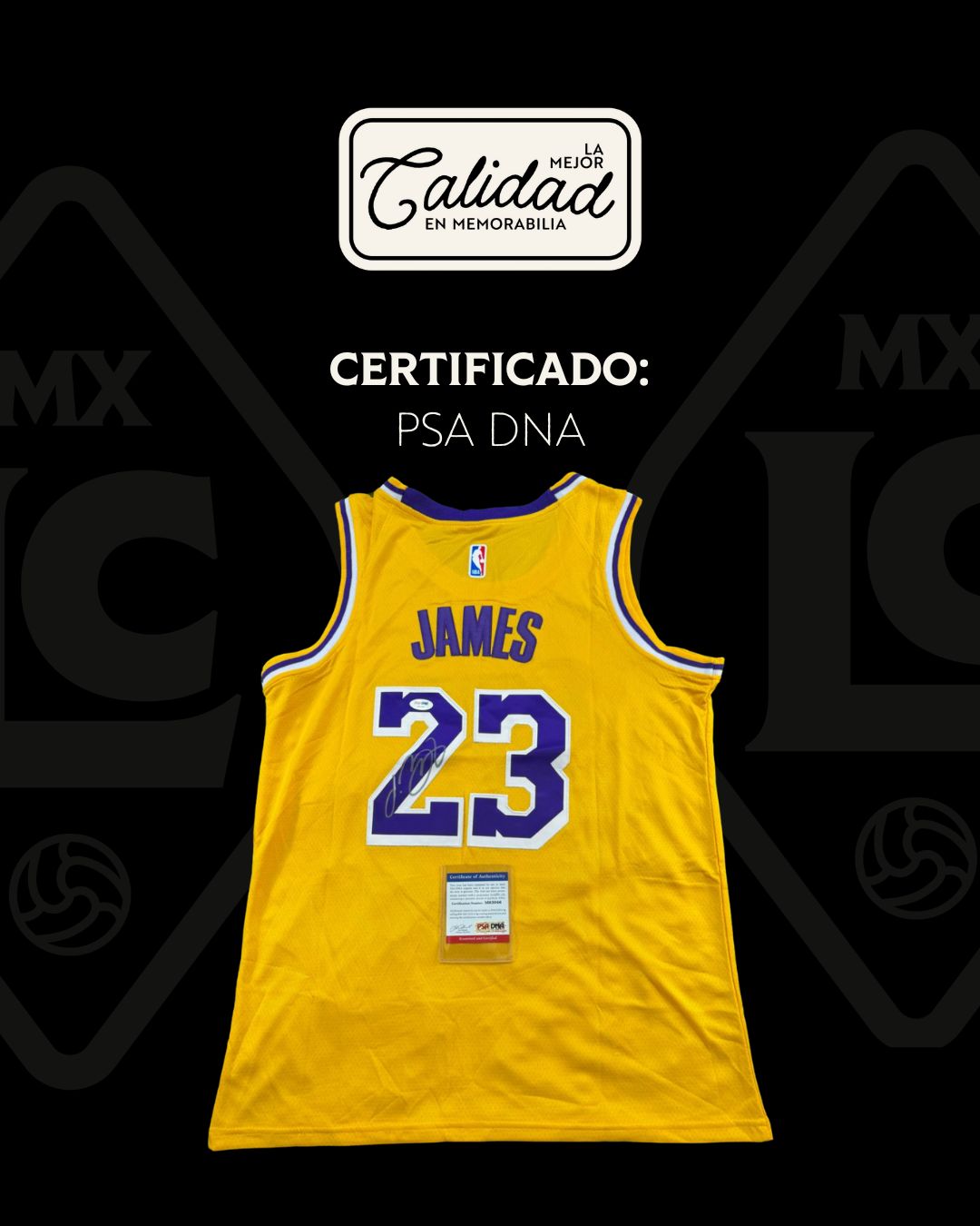 Jersey Firmado Lebron James Lakers Local