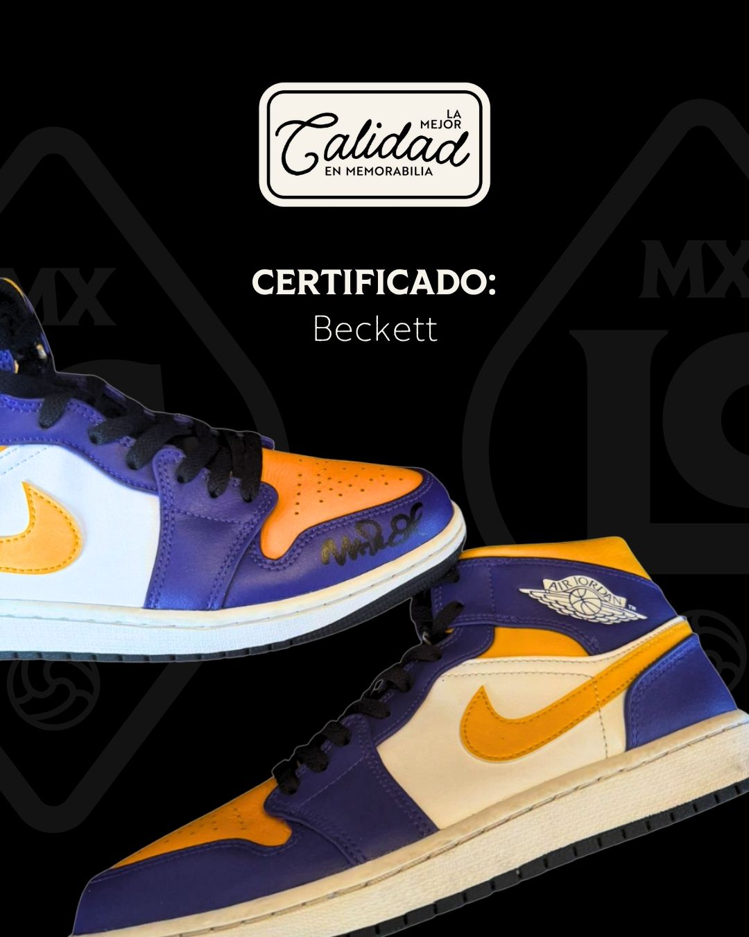 Tenis Jordan Firmados por Magic Johnson
