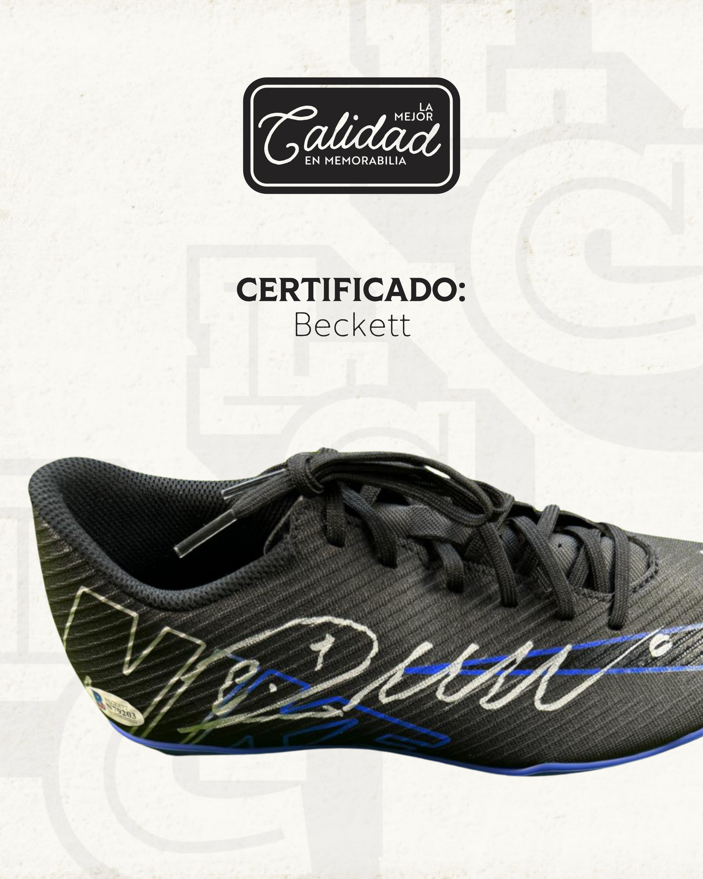 Zapato firmado Cristiano Ronaldo Nike