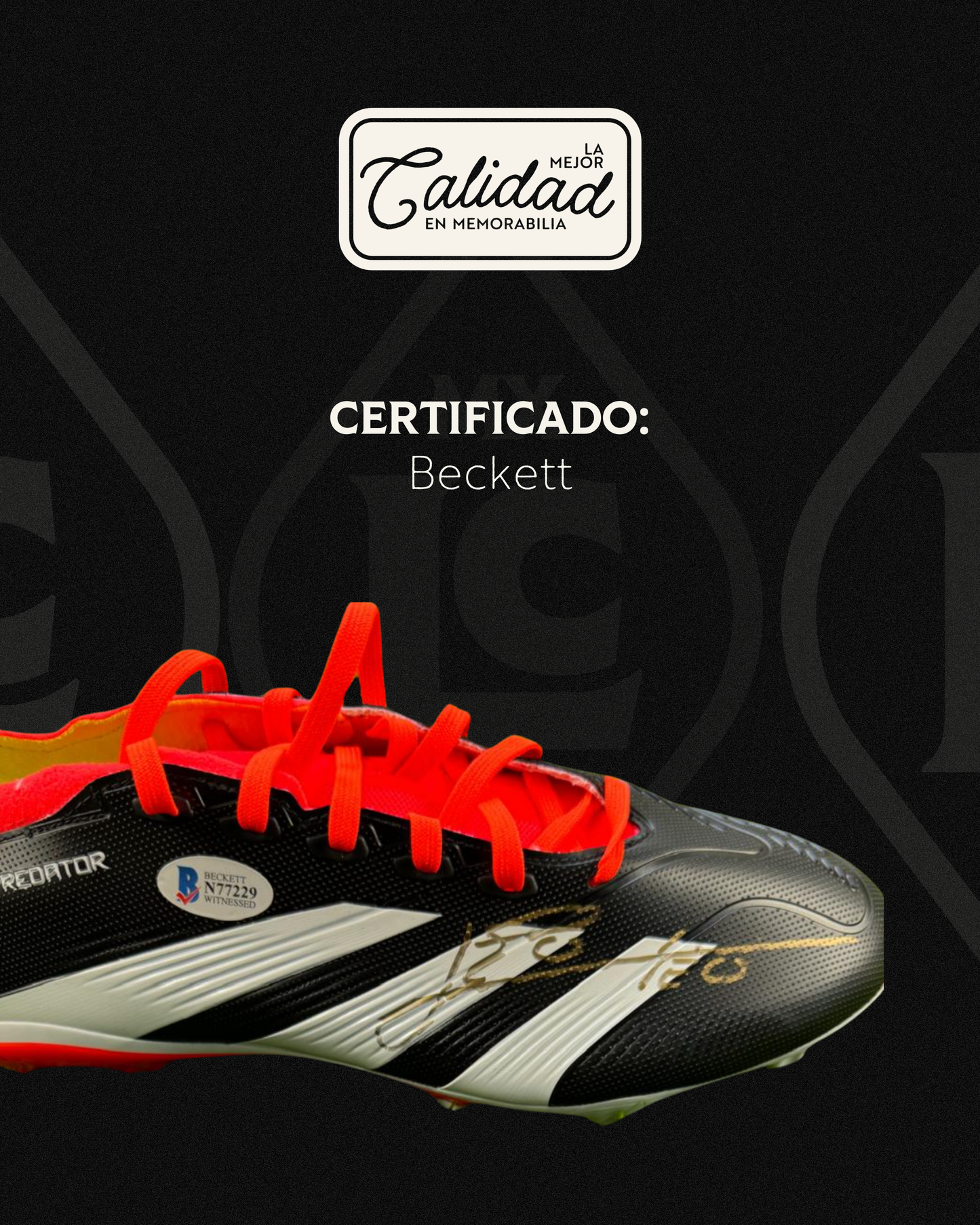 Zapato firmado Lionel Messi Adidas