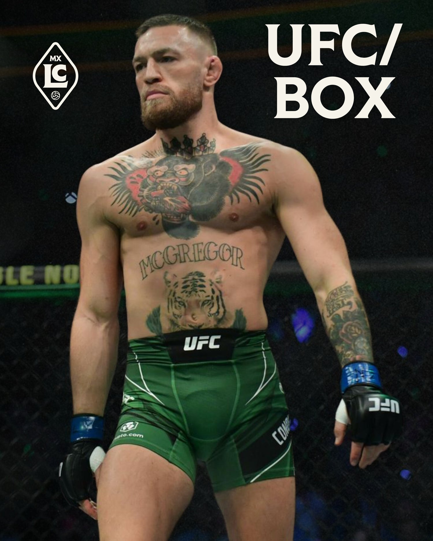 UFC/BOX