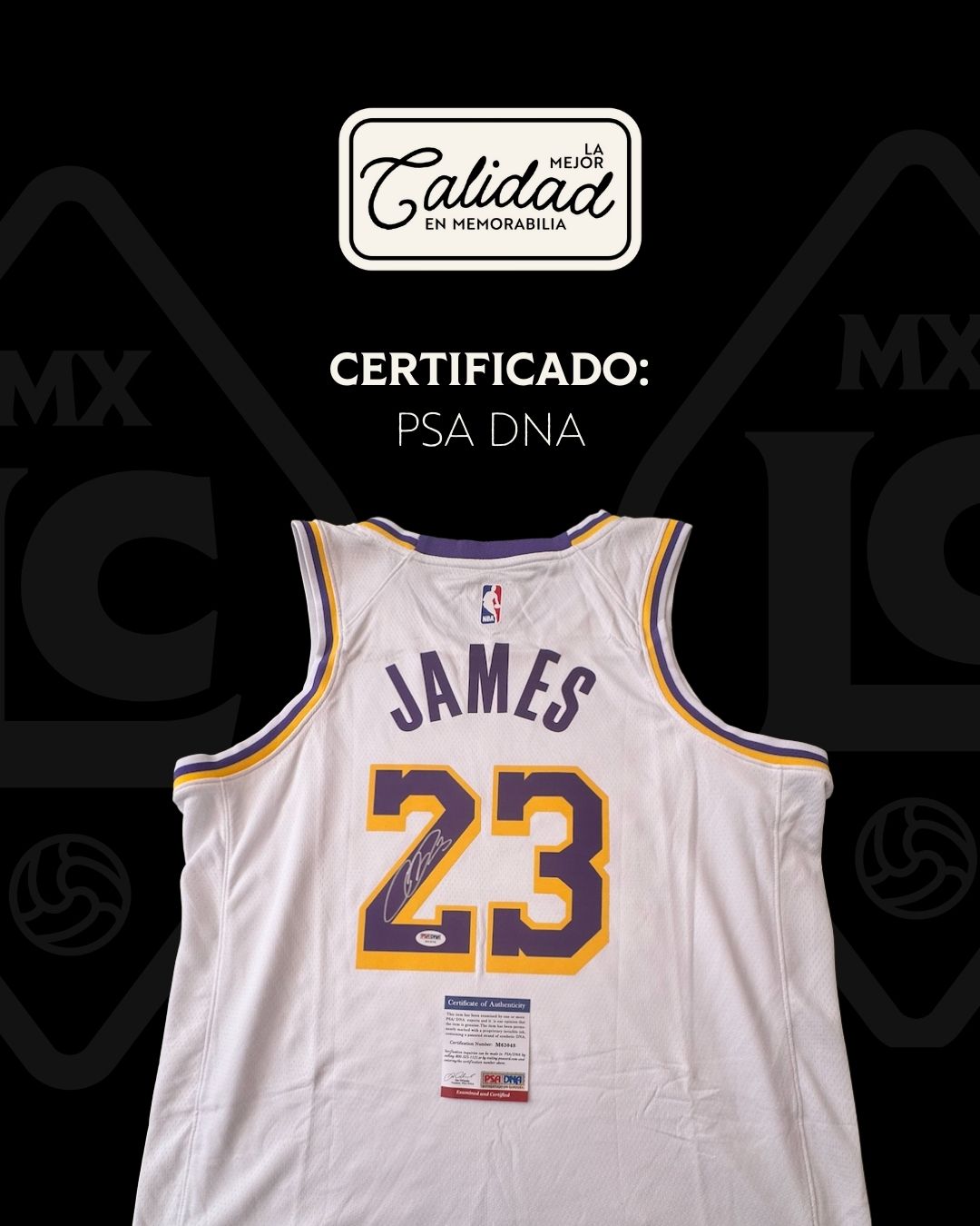 Jersey firmado Lebron James Lakers