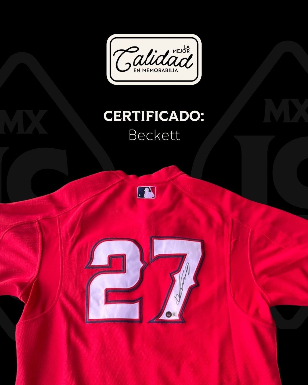 Vladimir Guerrero Sr. LA Angels