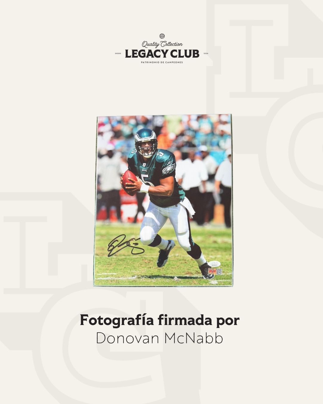 Fotografia Donovan McNabb Eagles