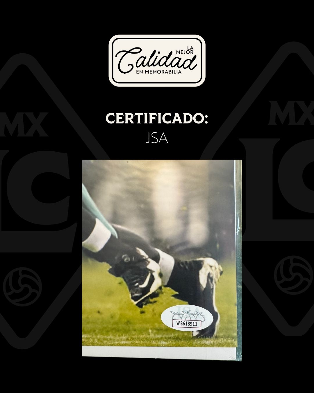 Foto firmada Michael Vick