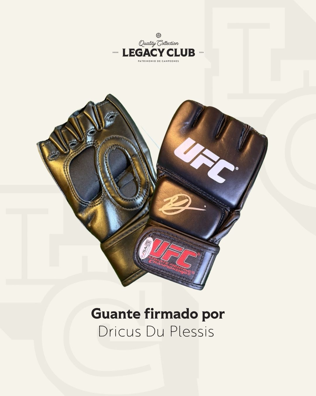 Guante firmado Dricus Du Plessis