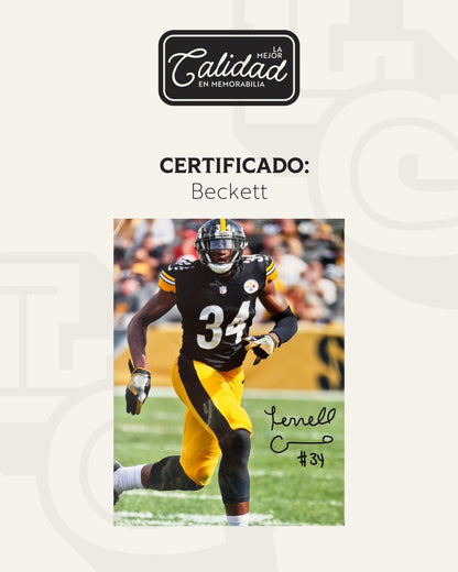 Fotografia Terrell Edmunds Steelers