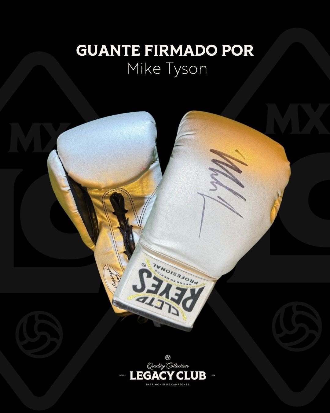 Guante firmado Mike Tyson Gris