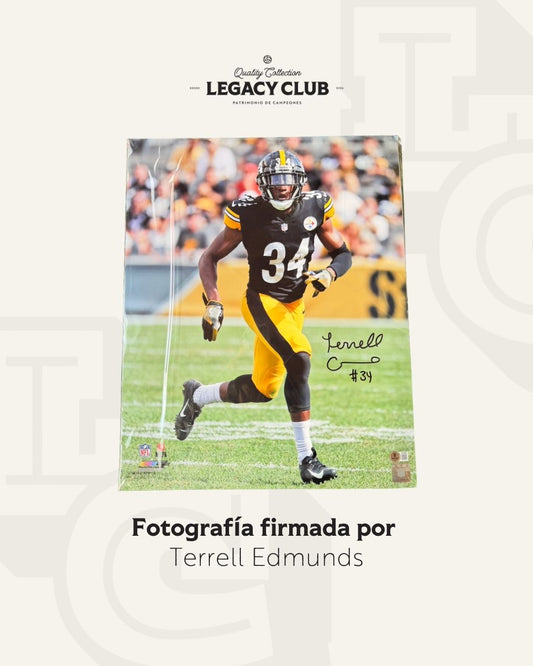 Fotografia Terrell Edmunds Steelers