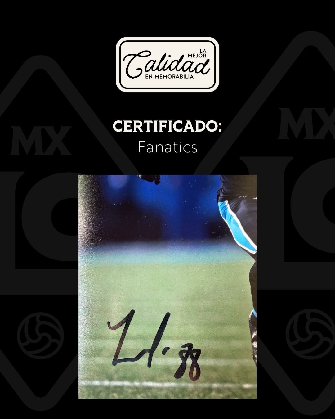 Fotografia Terrace Marshall Jr. Panthers