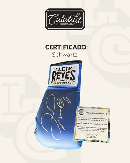 Guante firmado Floyd Mayweather