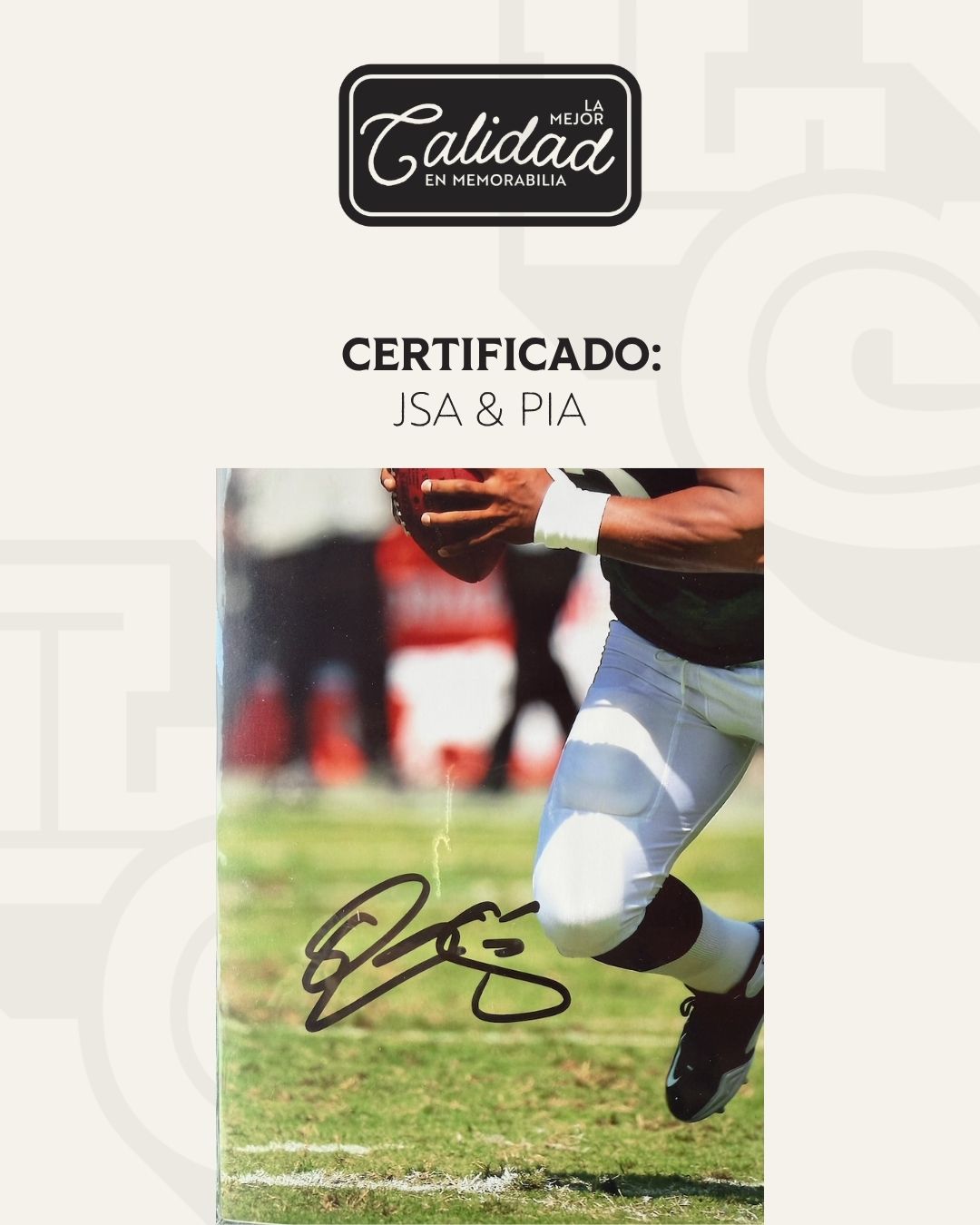 Fotografia Donovan McNabb Eagles