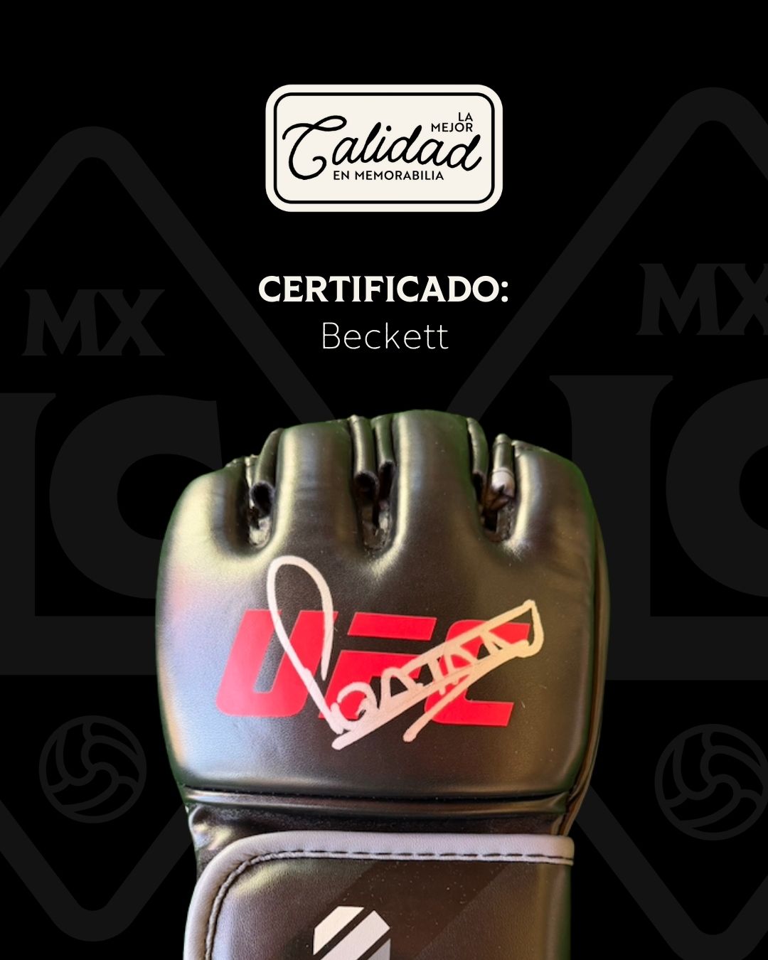 Guante firmado Alex Pereira