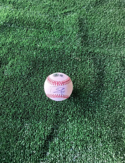 Tarik Skubal — MLB