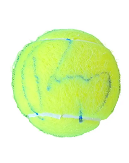 Andrey Rublev — Tenis