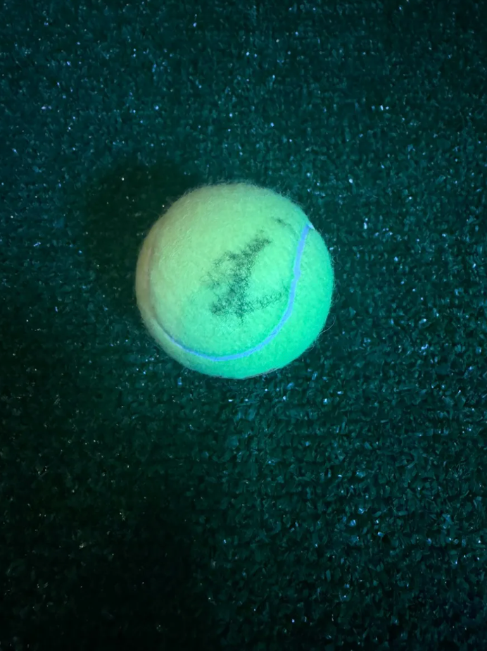 Lorenzo Musetti — Tenis