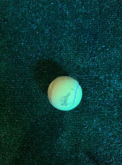 Lorenzo Musetti — Tenis