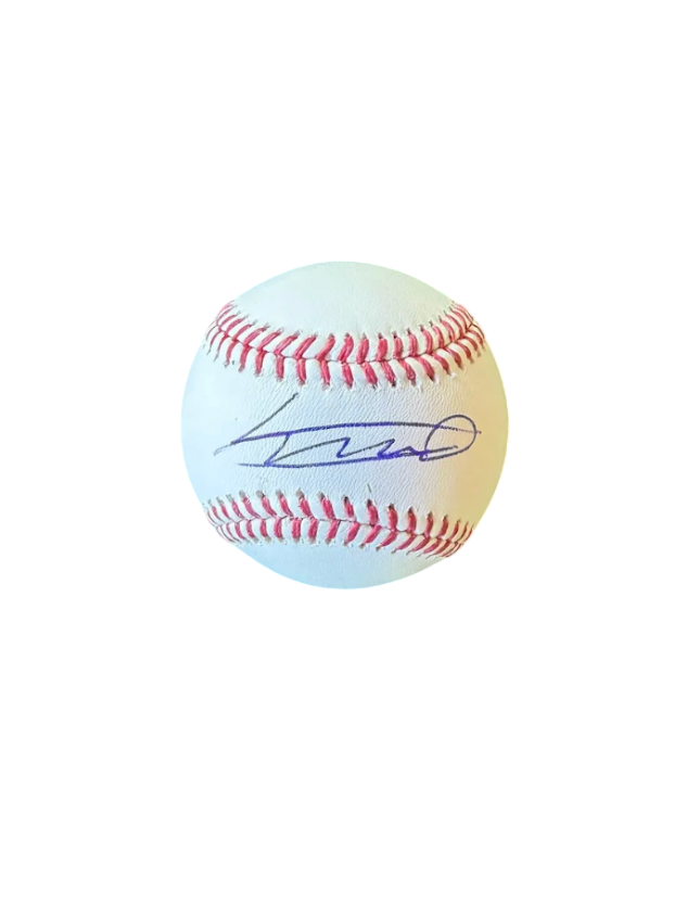 Vladimir Guerrero Sr. — MLB