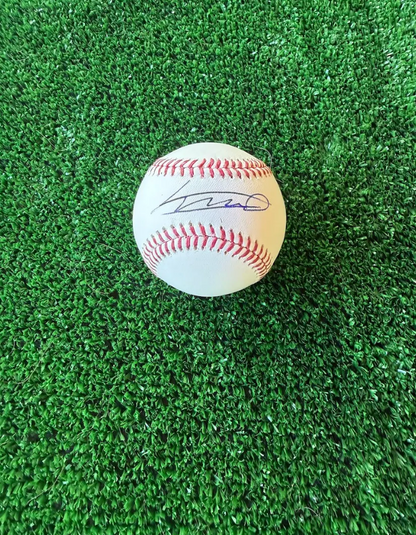 Vladimir Guerrero Sr. — MLB