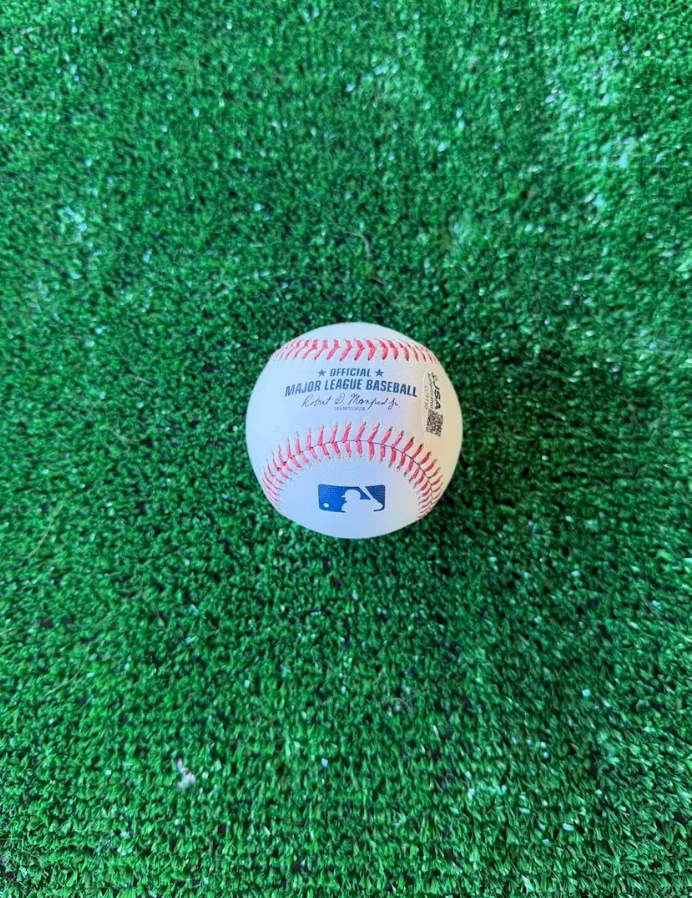 Vladimir Guerrero Sr. — MLB