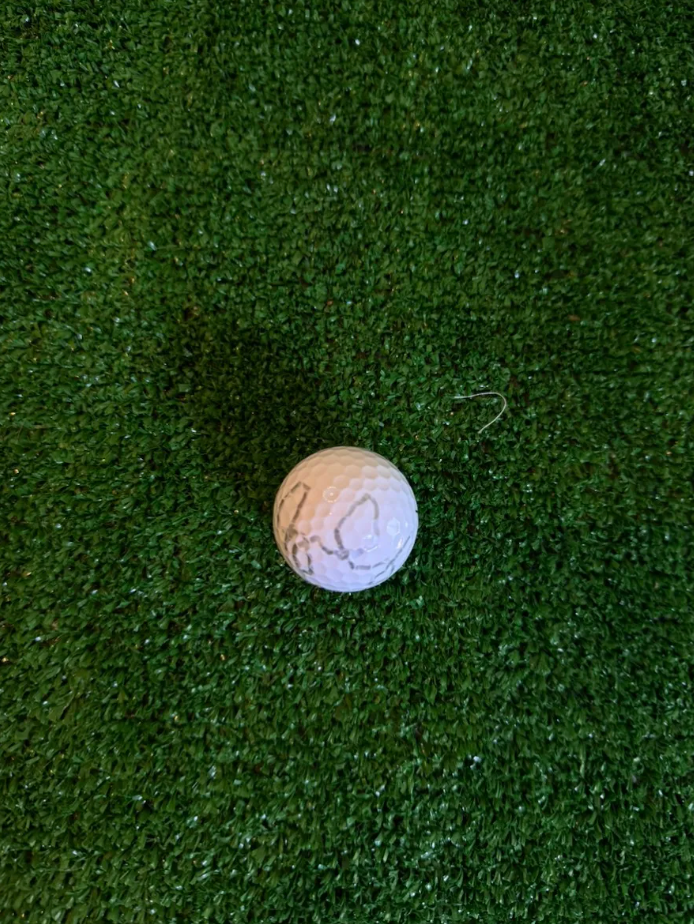 Rory McIlroy — Golf