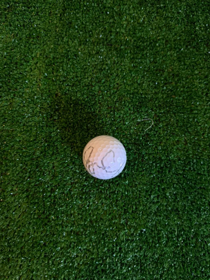Rory McIlroy — Golf