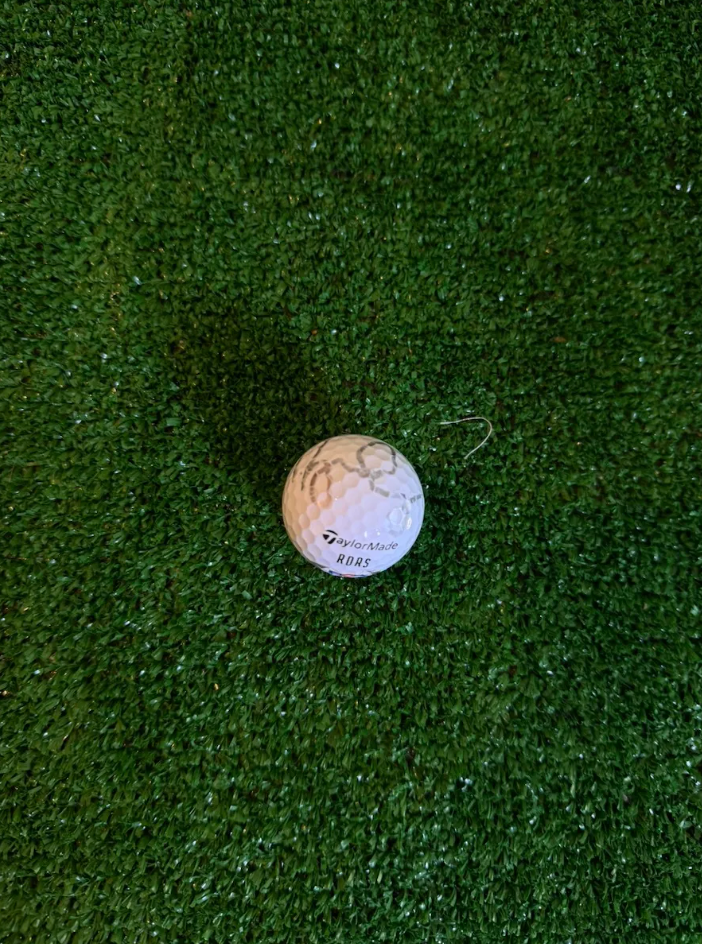 Rory McIlroy — Golf