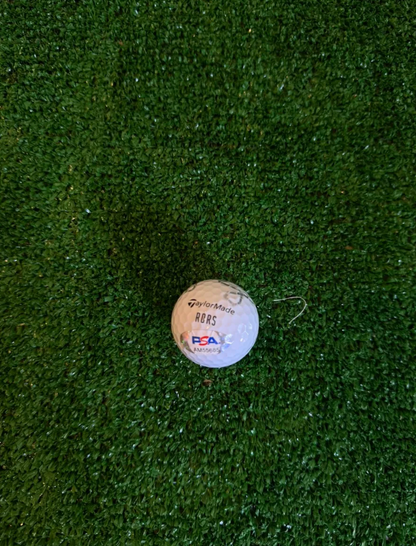 Rory McIlroy — Golf