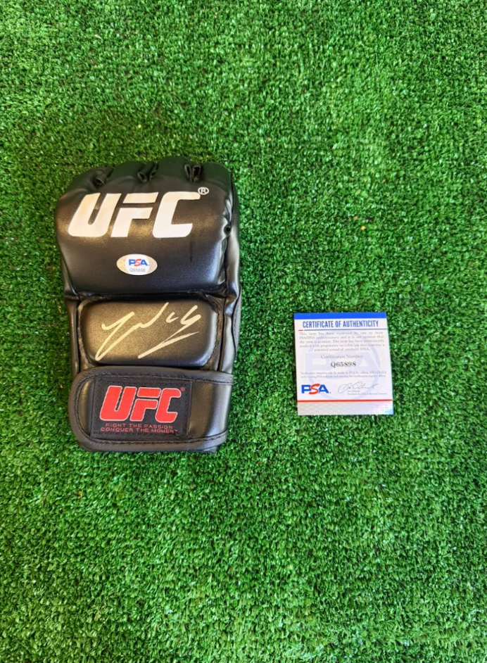 Anderson Silva — UFC