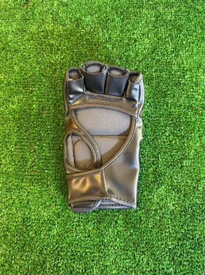 Anderson Silva — UFC