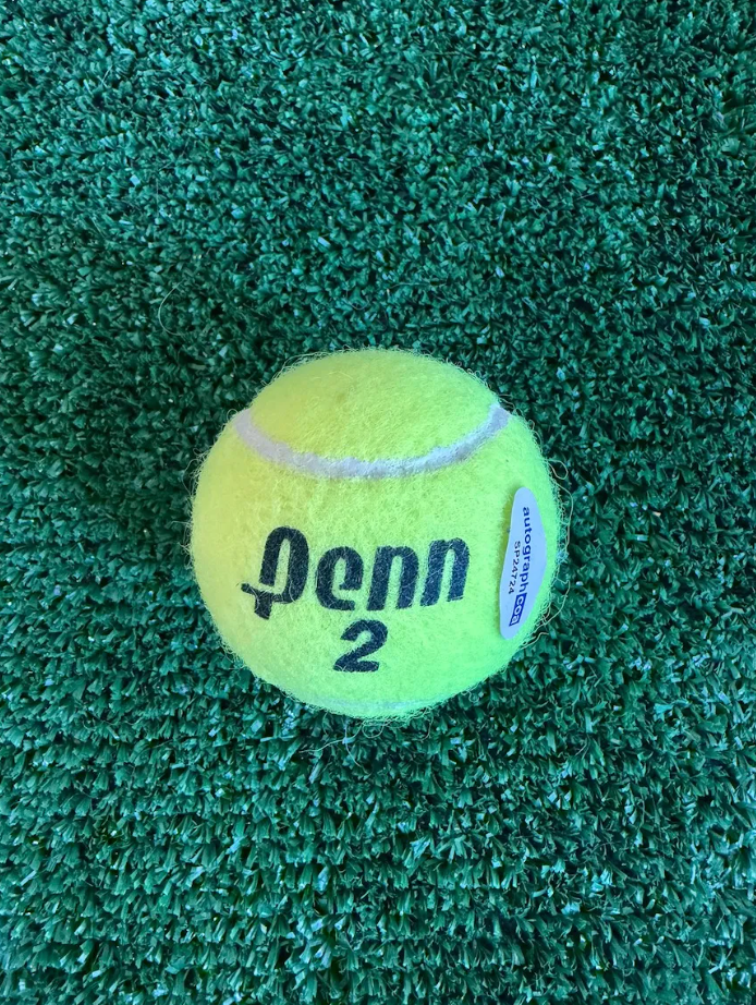 Daniil Medvedev — Tenis