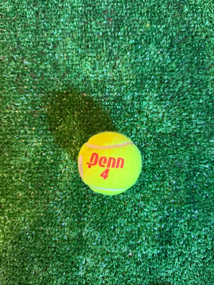 Mirra Andreeva — Tenis