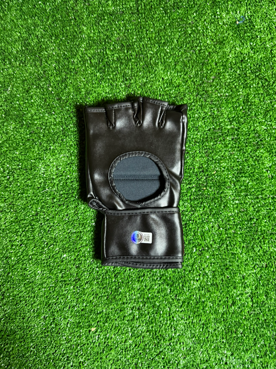 Ilia Topuria — UFC