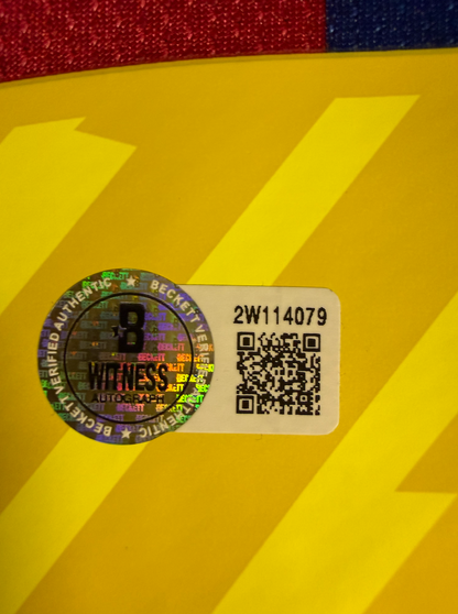 Lionel Messi 2012 — FC Barcelona