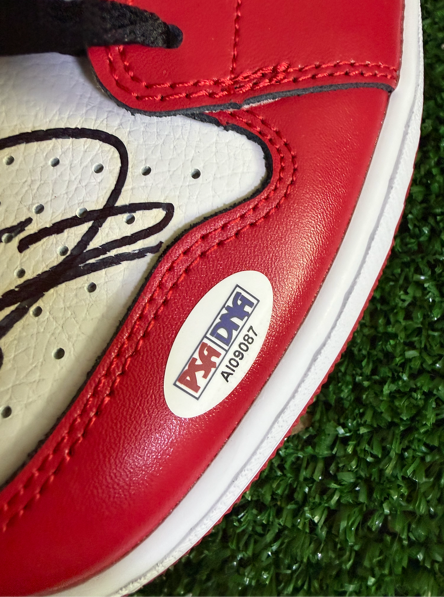 Michael Jordan — Air Jordan 1 Chicago