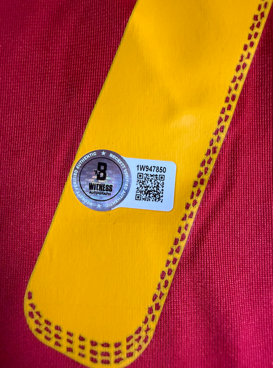 David Villa — Selección España