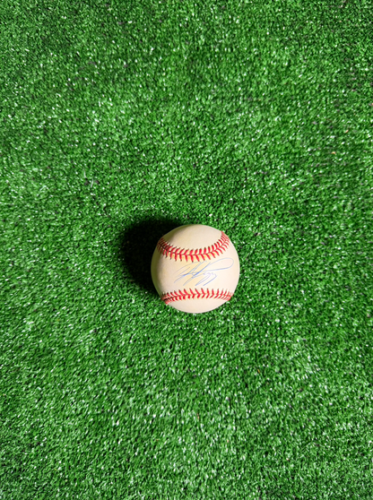 Mike Piazza — MLB