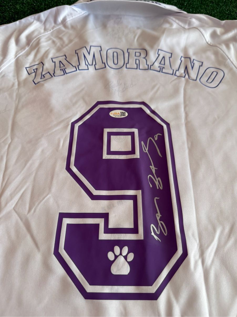 Iván Zamorano — Real Madrid
