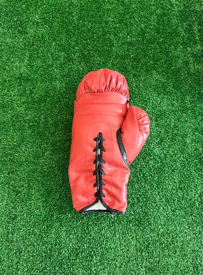 Mike Tyson — Guante Everlast — Box