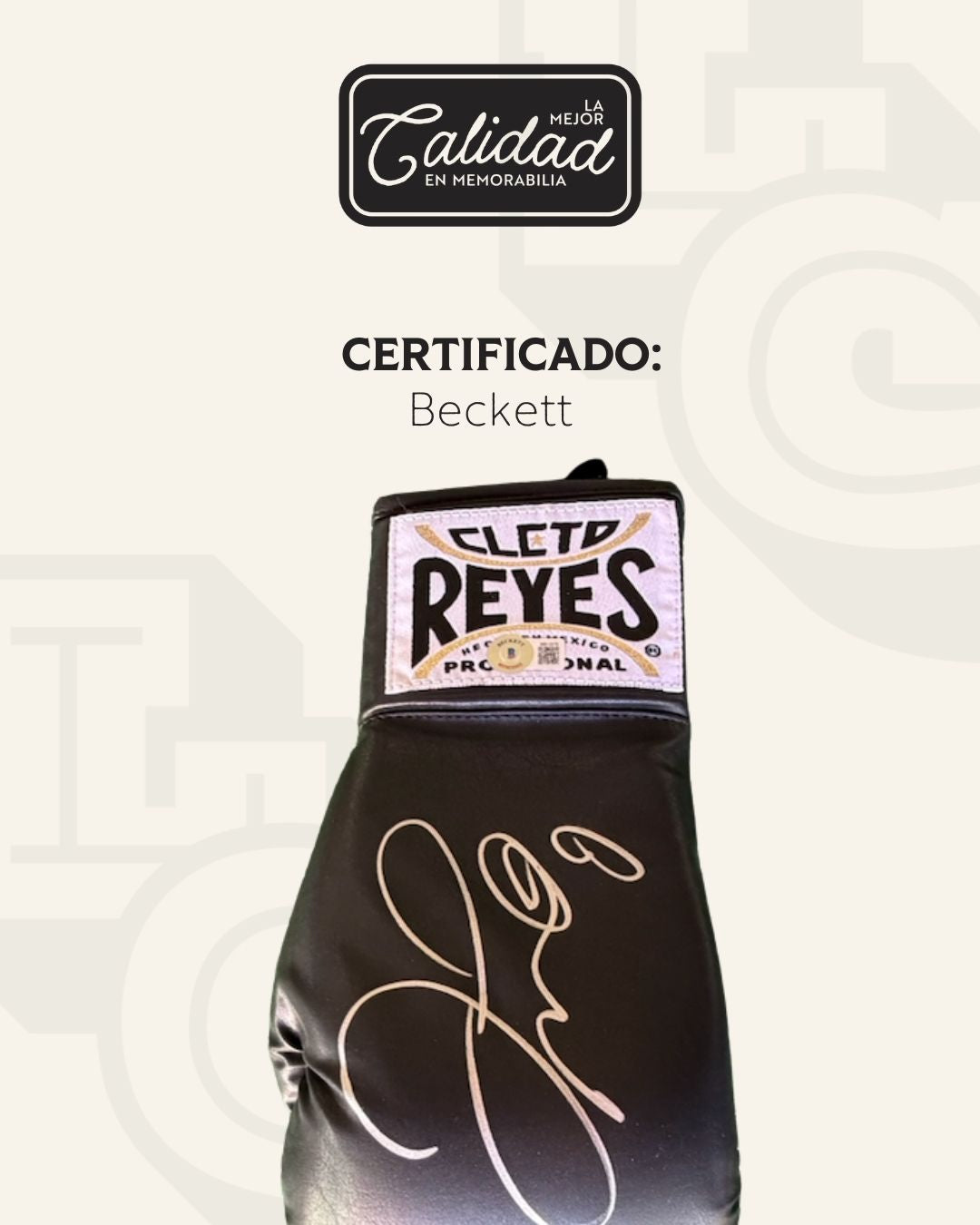 Guante firmado Floyd Mayweather