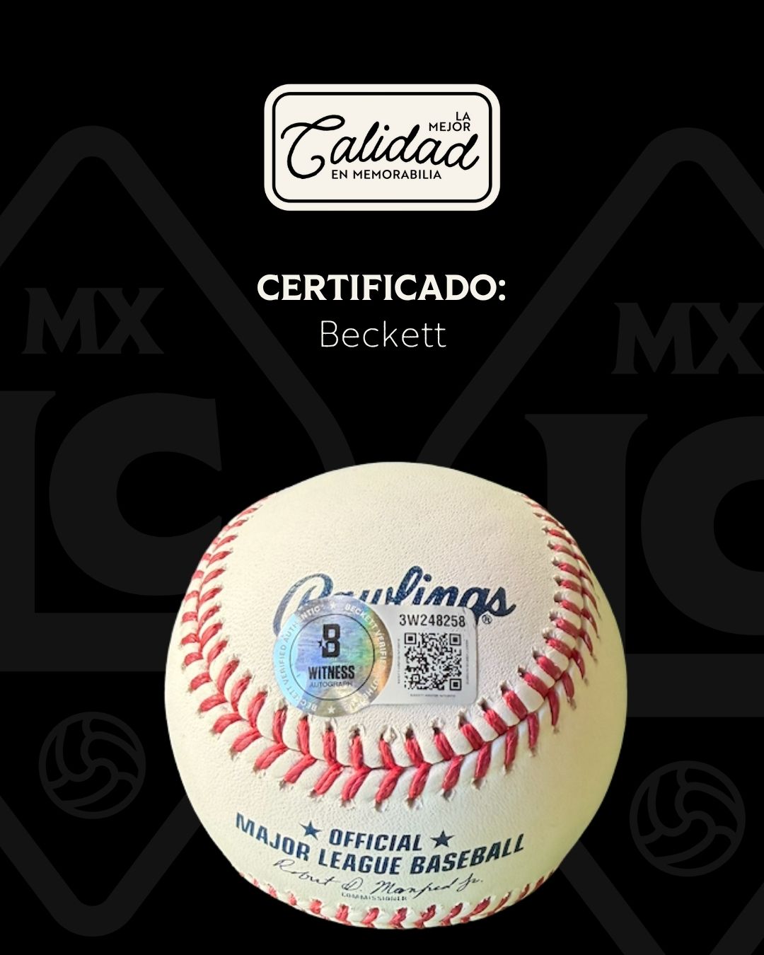 Pelota firmada Frank Thomas