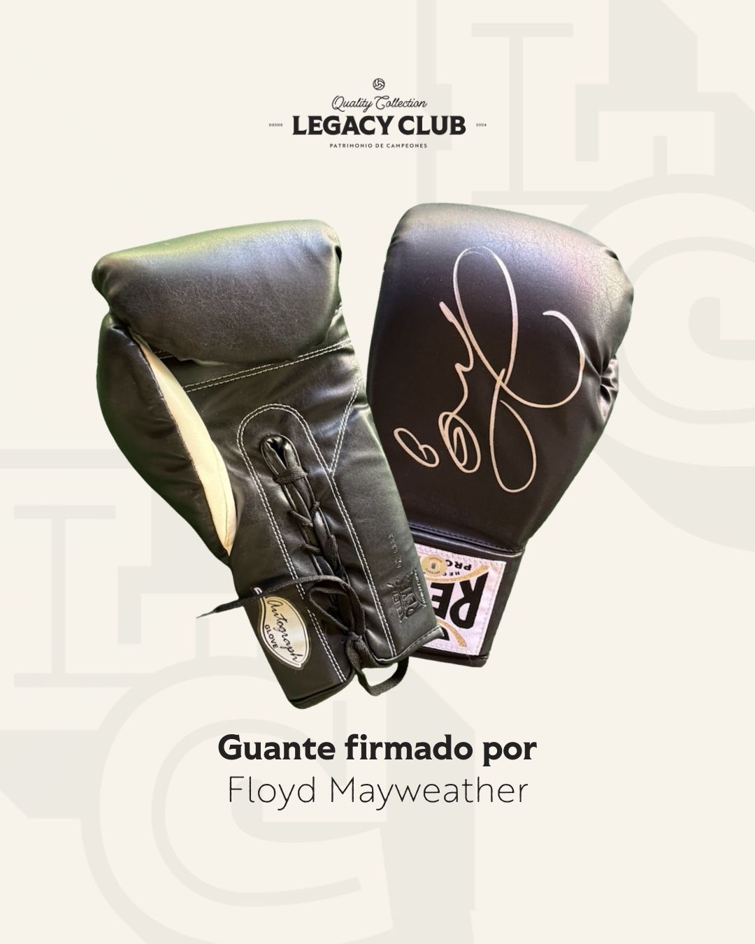 Guante firmado Floyd Mayweather