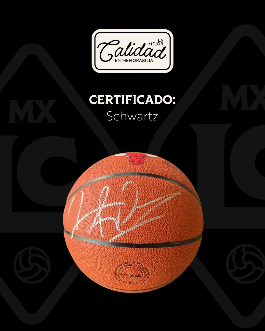 Balón firmado Dennis Rodman Chicago Bulls