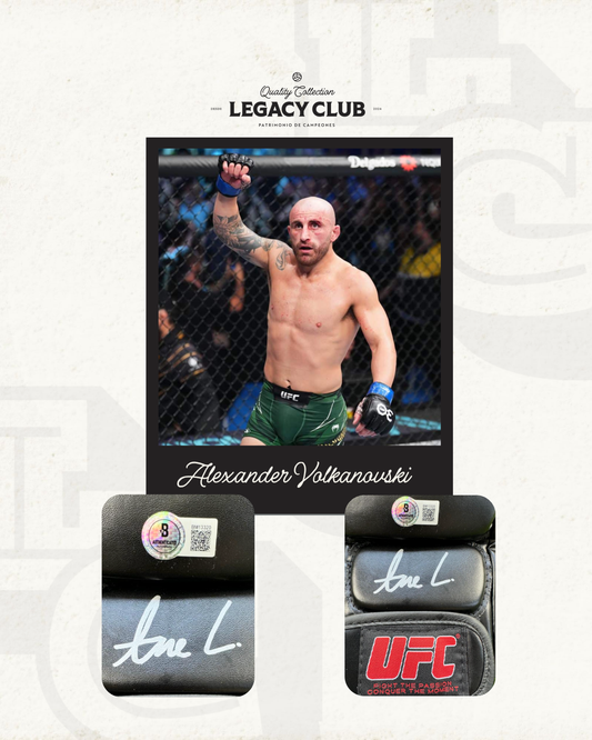 Guante Firmado por Alexander Volkanovski